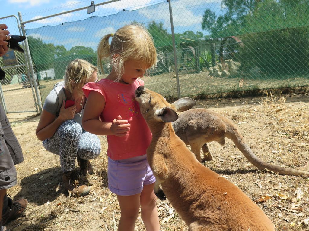 Jurien Beachfront Holiday Units Villa Jurien Bay Cameră foto